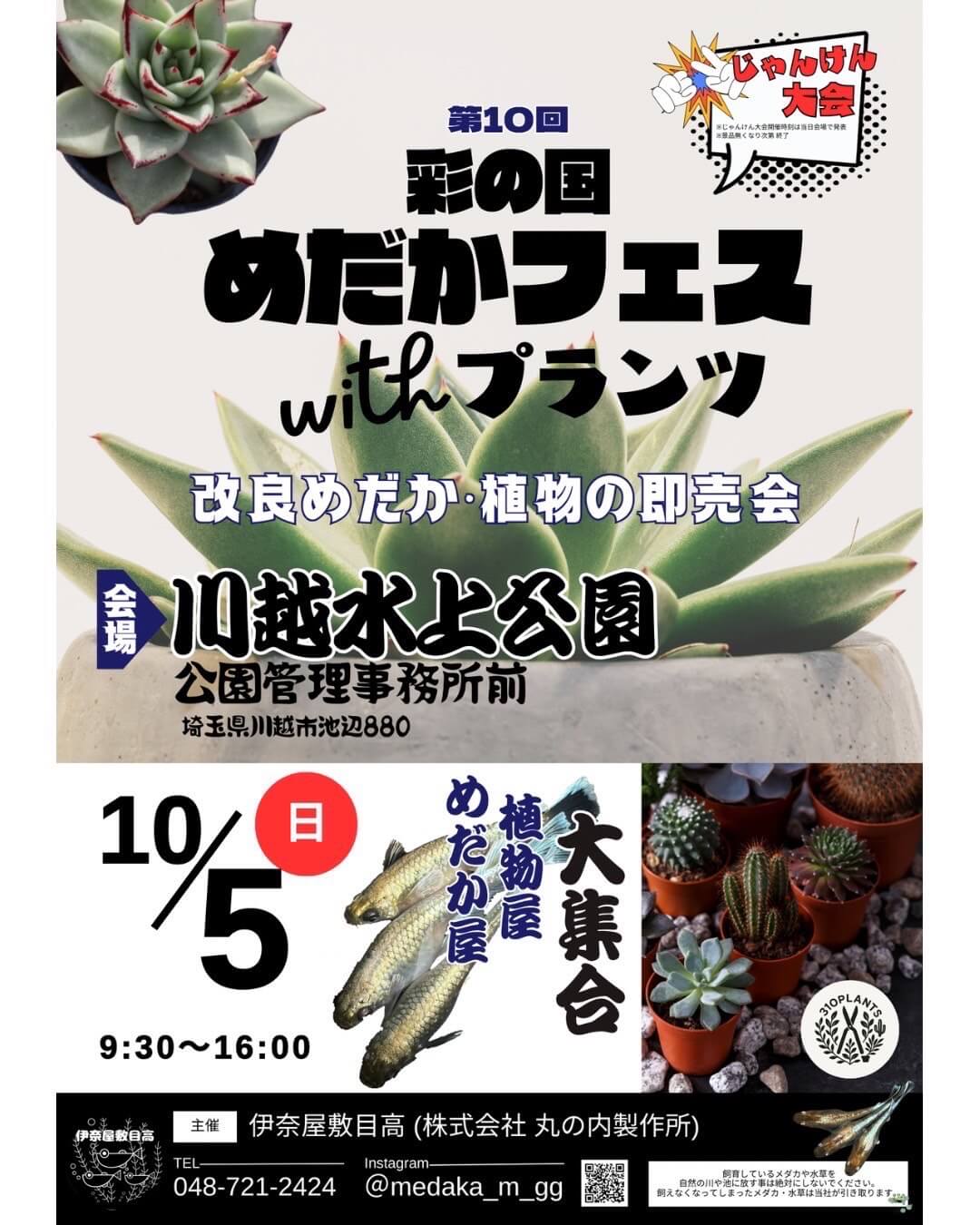 メダカ販売イベントのフライヤー広告(2025年10月開催)