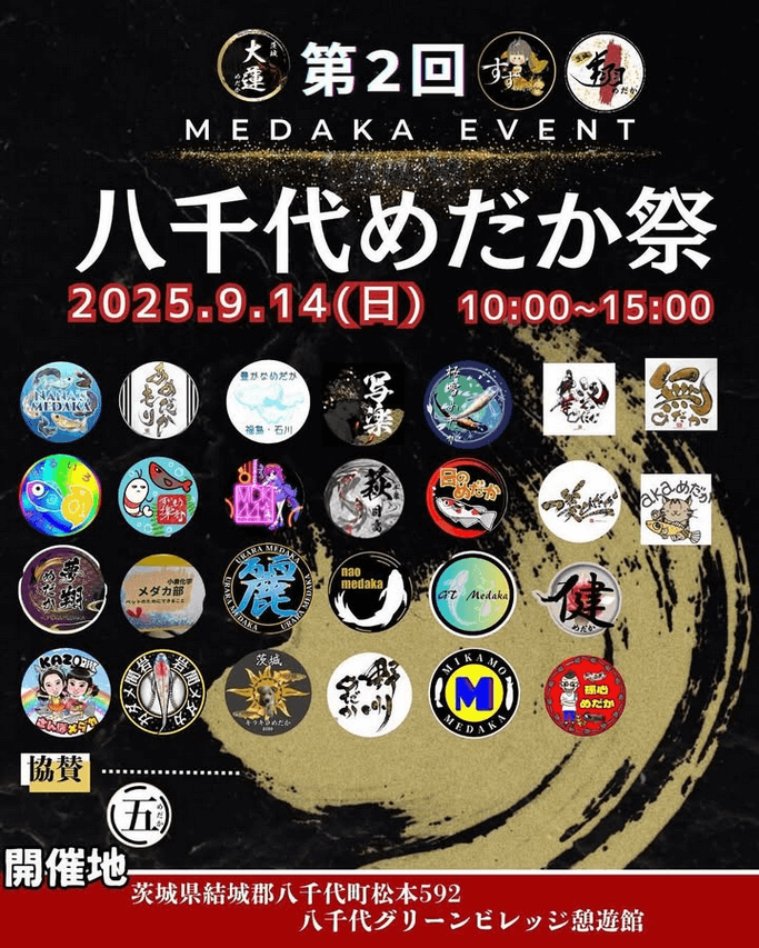 メダカ販売イベントのフライヤー広告(2025年9月開催)