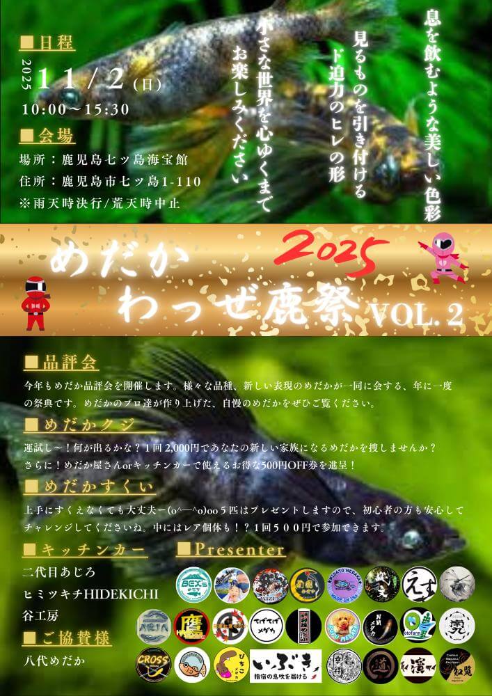メダカ販売イベントのフライヤー広告(2025年11月開催)