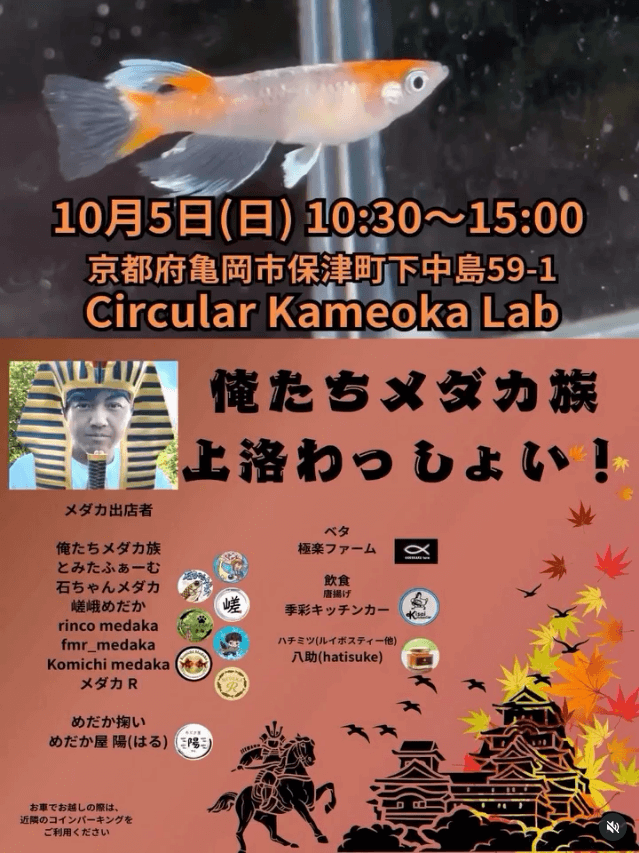 メダカ販売イベントのフライヤー広告(2025年10月開催)