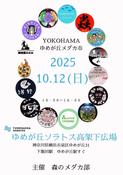 メダカ販売イベントのフライヤー広告(2025年10月開催)