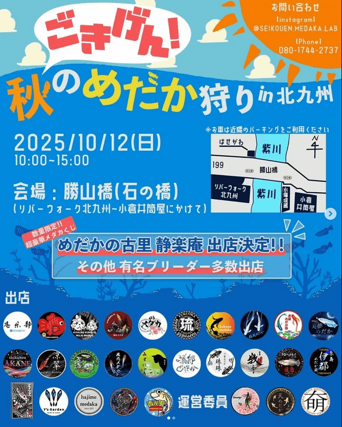 メダカ販売イベントのフライヤー広告(2025年10月開催)