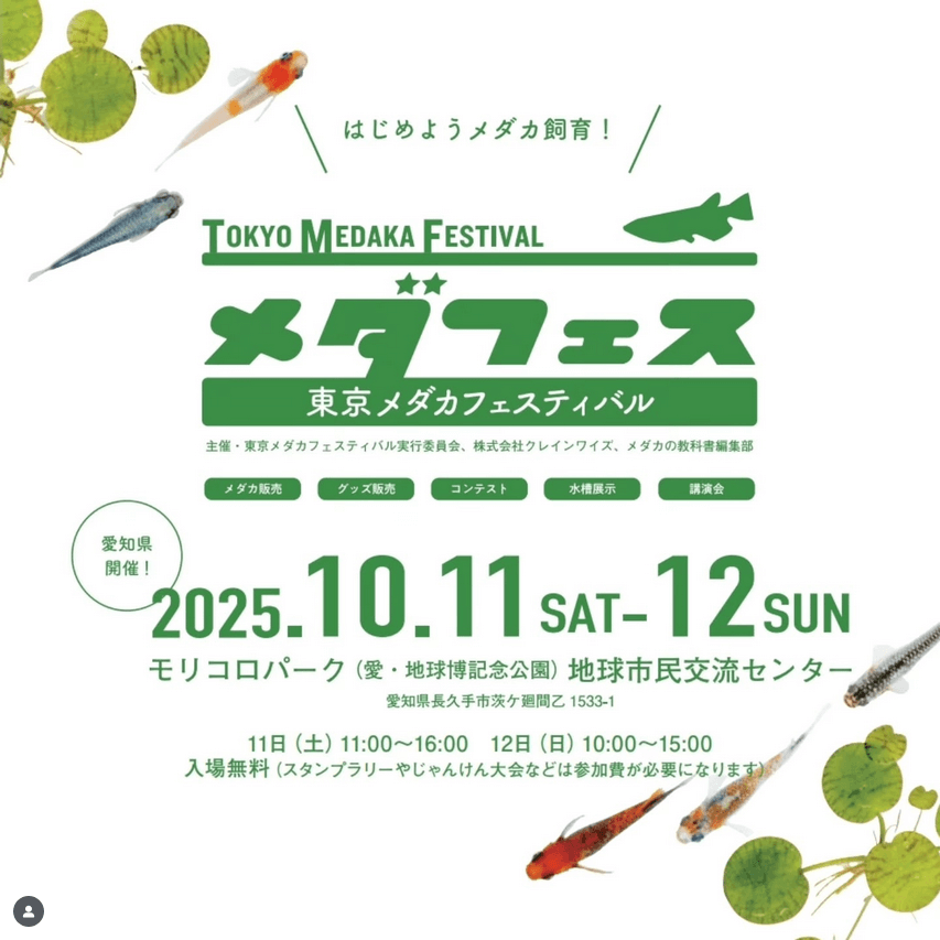 メダカ販売イベントのフライヤー広告(2025年10月開催)