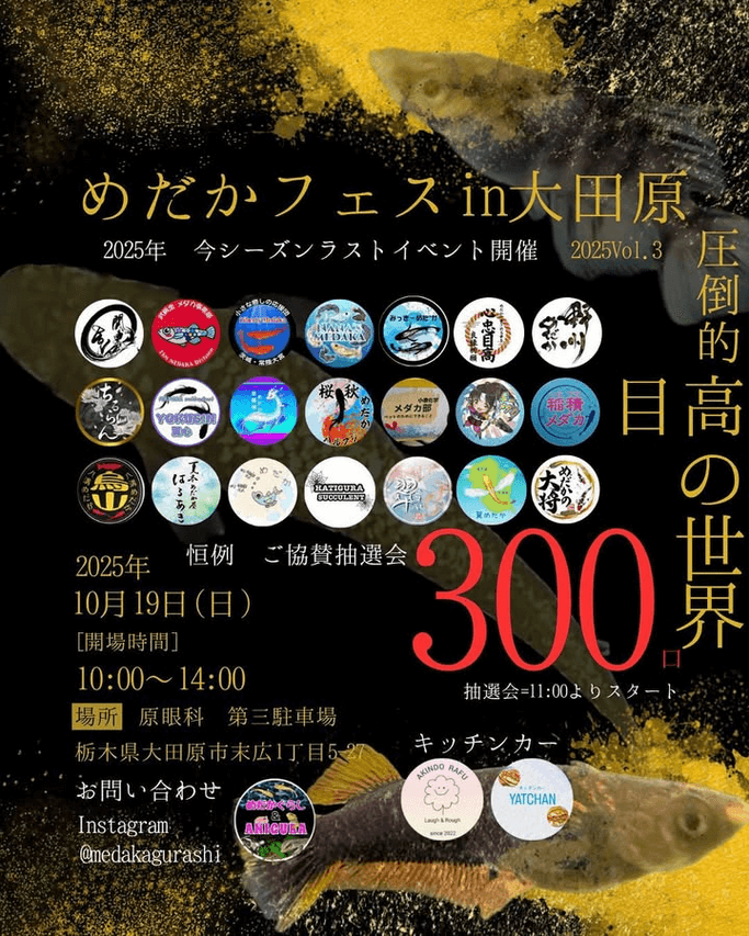 メダカ販売イベントのフライヤー広告(2025年10月開催)