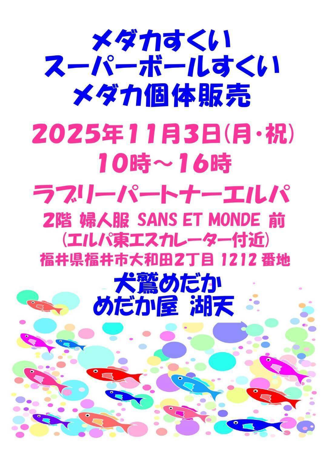 メダカ販売イベントのフライヤー広告(2025年11月開催)