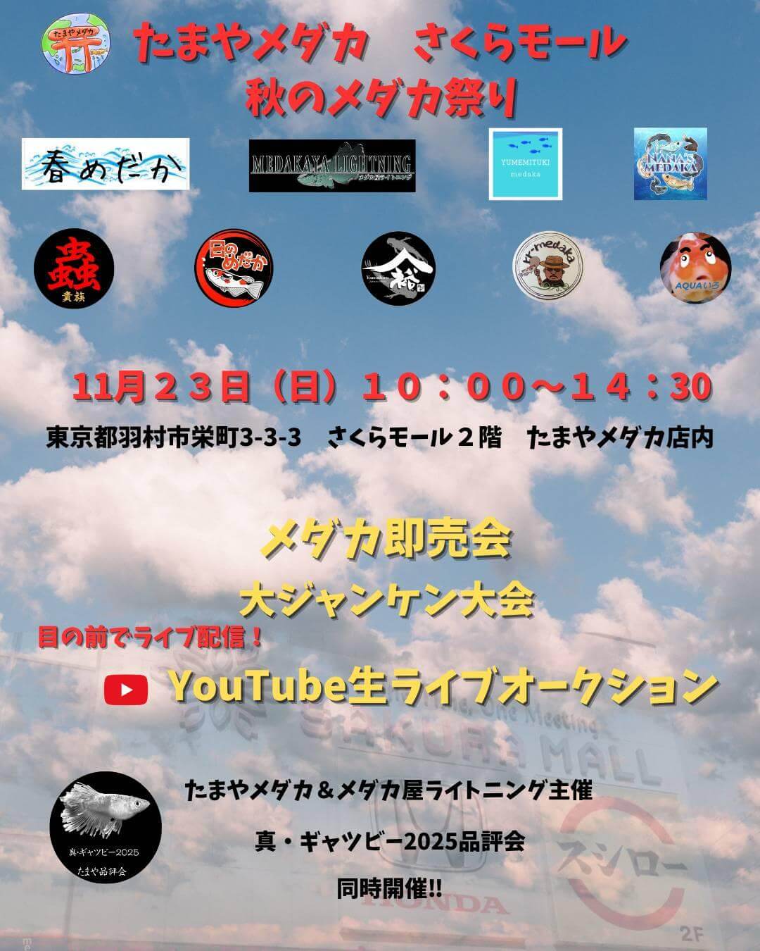 メダカ販売イベントのフライヤー広告(2025年11月開催)