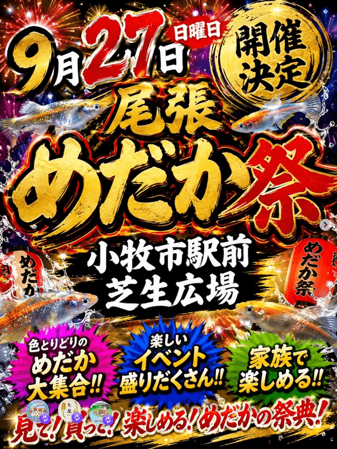 尾張めだか祭のフライヤー愛知県小牧市で2026年9月開催