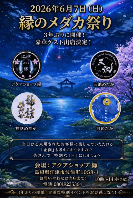 縁のメダカ祭りのフライヤー広告(2026年6月)
