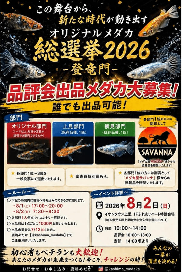 オリジナルメダカ総選挙2026-登竜門-のフライヤー広告(2026年8月開催)