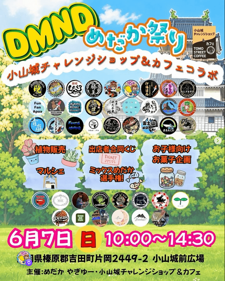 DMNDめだかフェスのフライヤー広告(2026年6月開催)