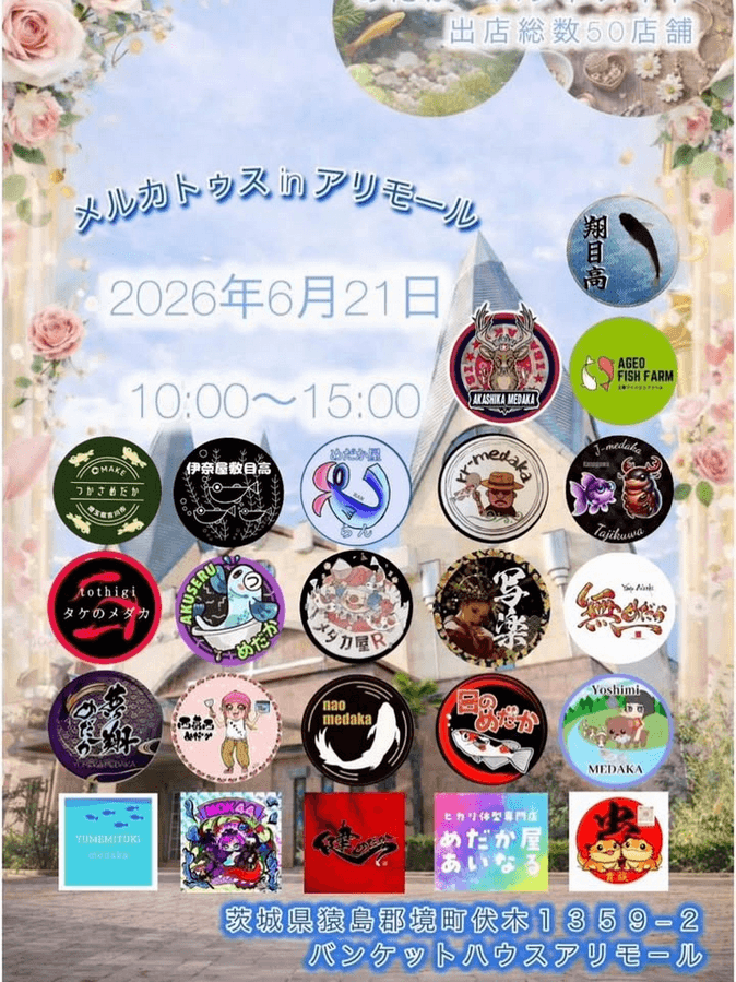 メルカトゥスinアリモールのフライヤー広告(2026年6月開催)