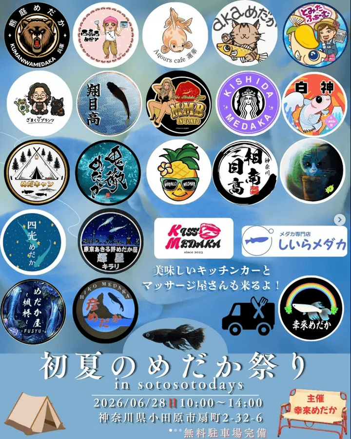 初夏のめだか祭りのフライヤー広告(2026年6月開催)