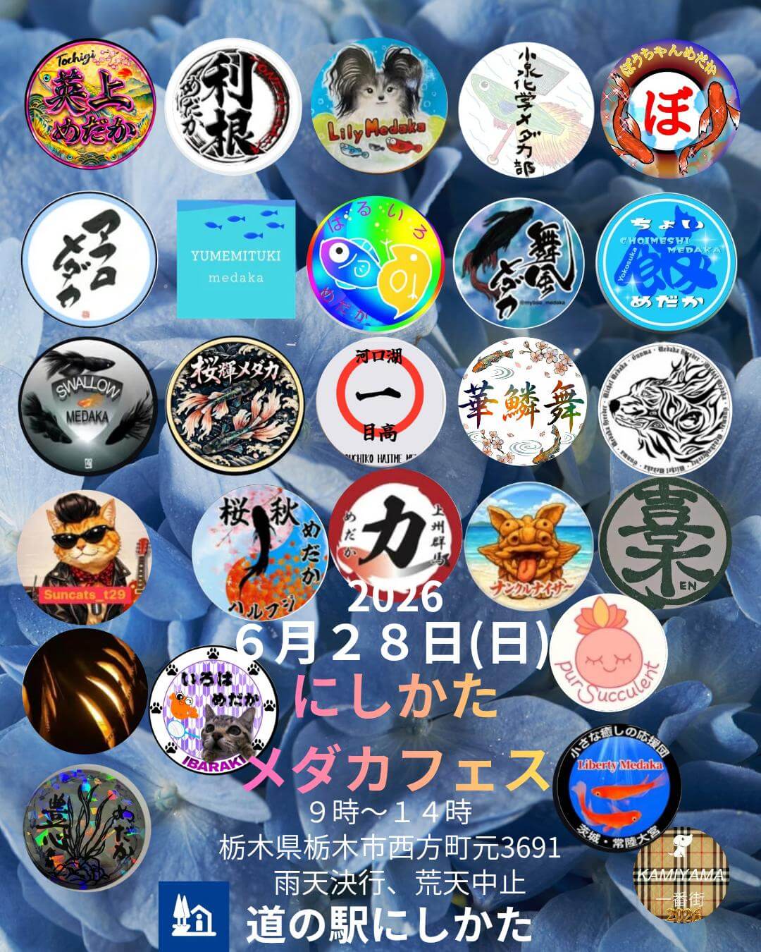 にしかたメダカフェス2026/6のフライヤー広告