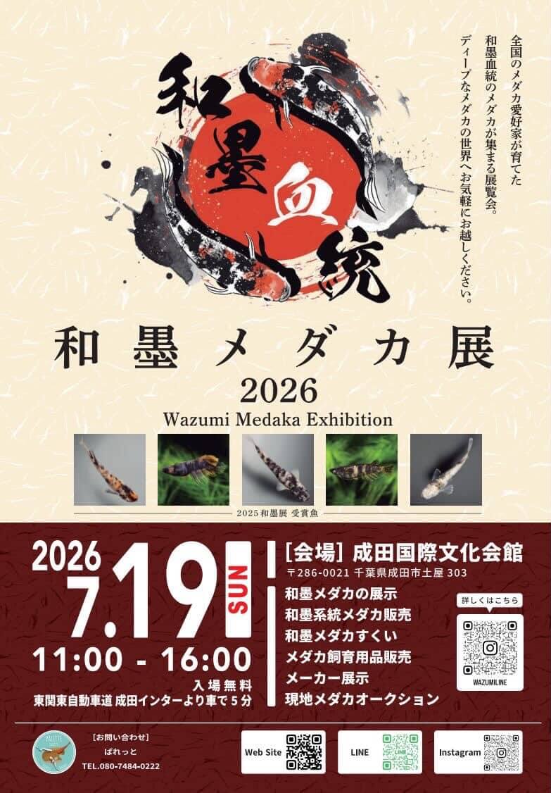 和墨メダカ展2026のフライヤー広告
