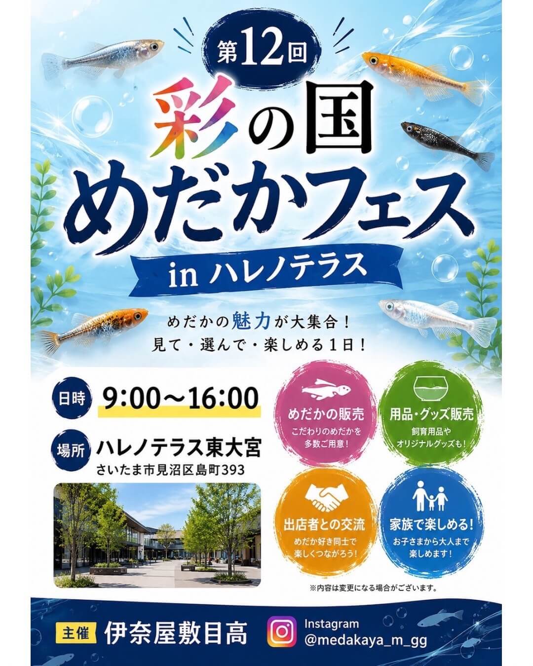 彩の国めだかフェスのフライヤー広告(8月開催)