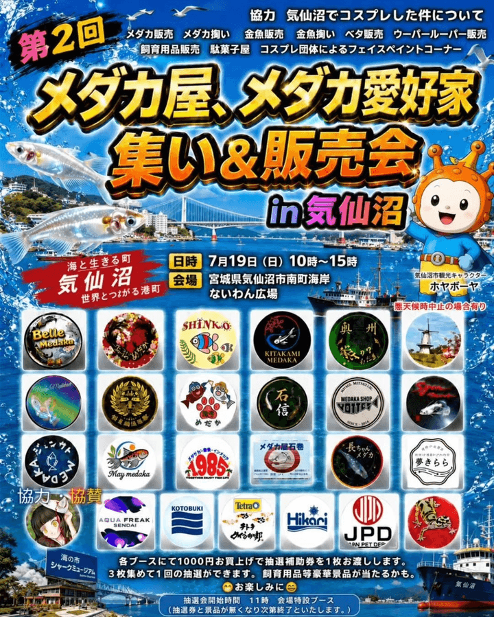 メダカ愛好家の集い 気仙沼ないわん広場のフライヤー広告