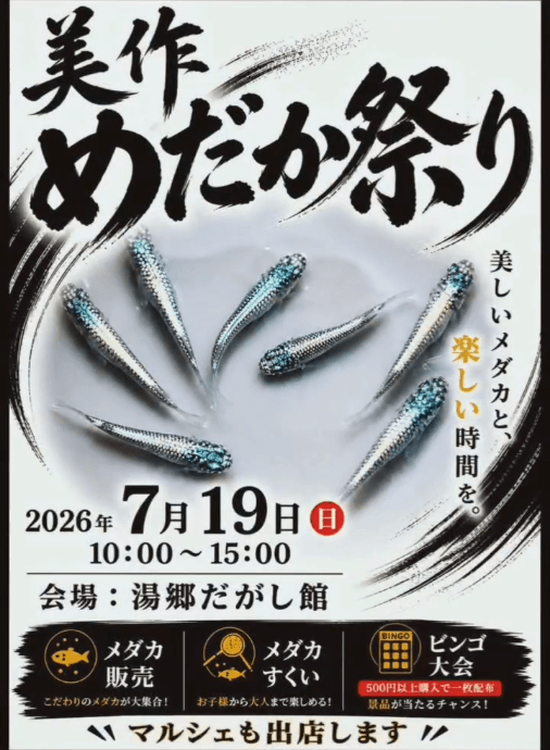 美作めだか祭りのフライヤー広告