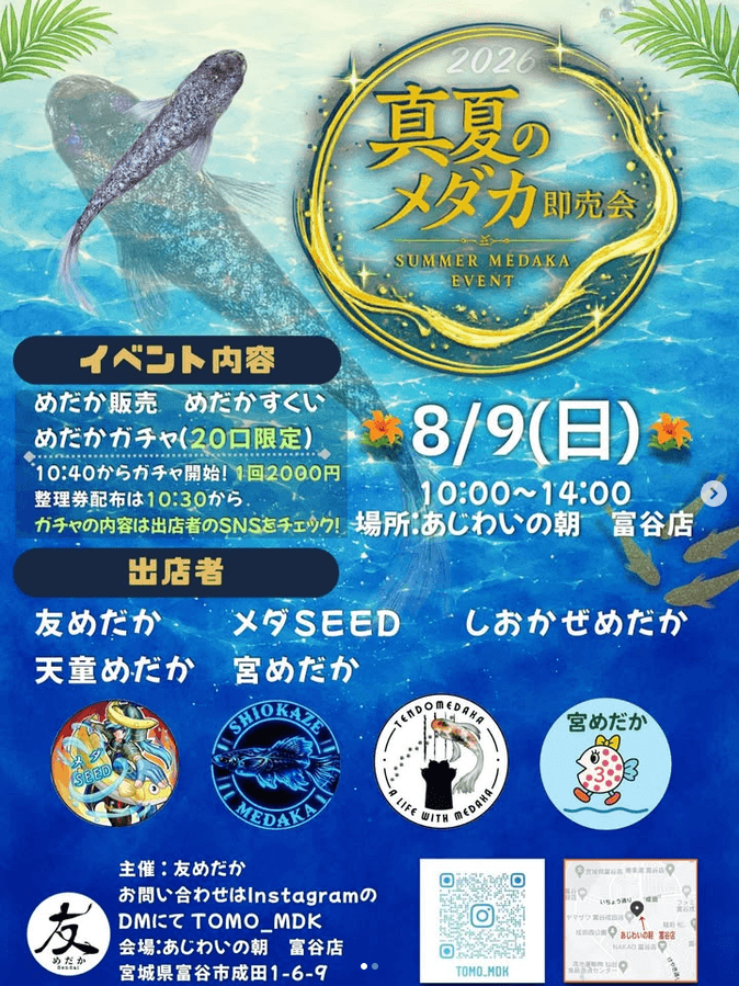 真夏のめだか即売会のフライヤー広告