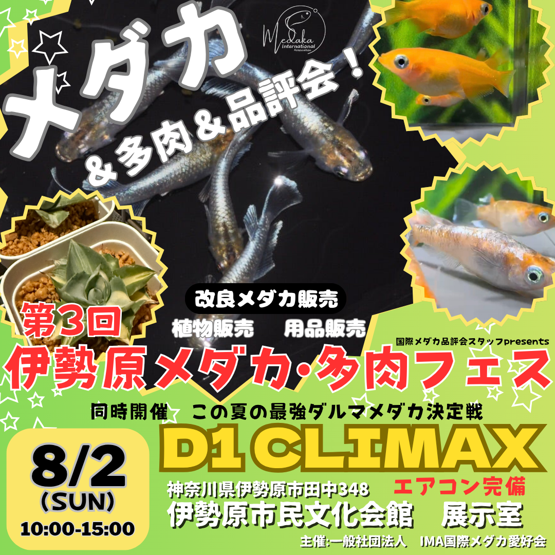 第3回 伊勢原メダカ・多肉フェスのフライヤー広告