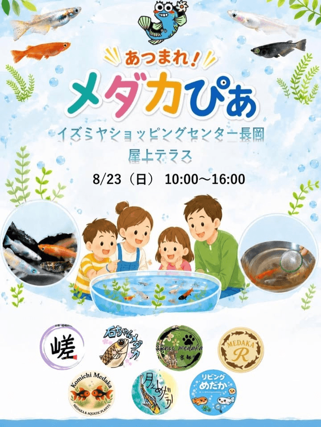 京都府:あつまれ!メダカぴあ(2026年8月開催)