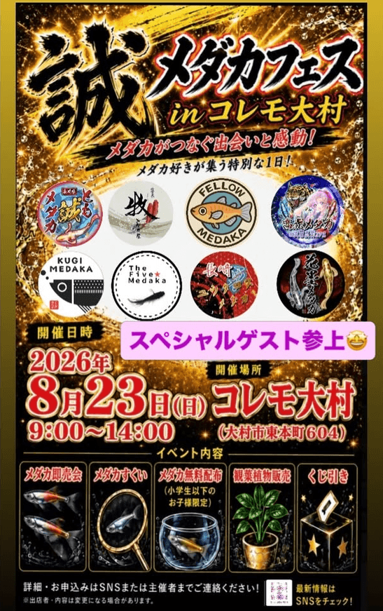 長崎県:誠 メダカフェス in コレモ大村(2026年8月開催)