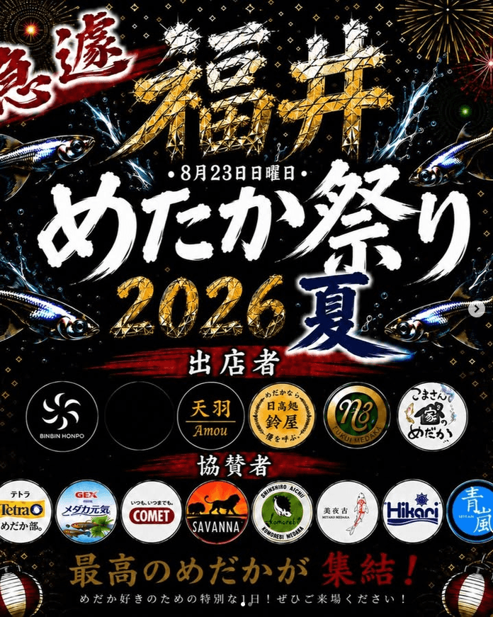 福井めだか祭り2026 夏のフライヤー広告