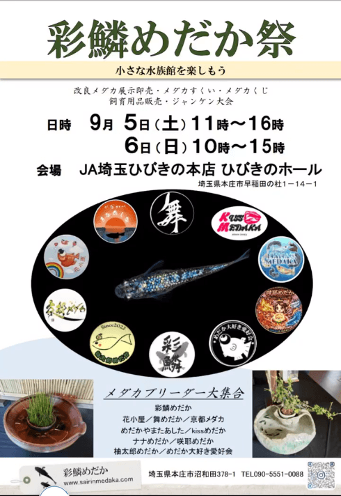 2026年9月開催の彩鱗めだか祭のフライヤー広告画像