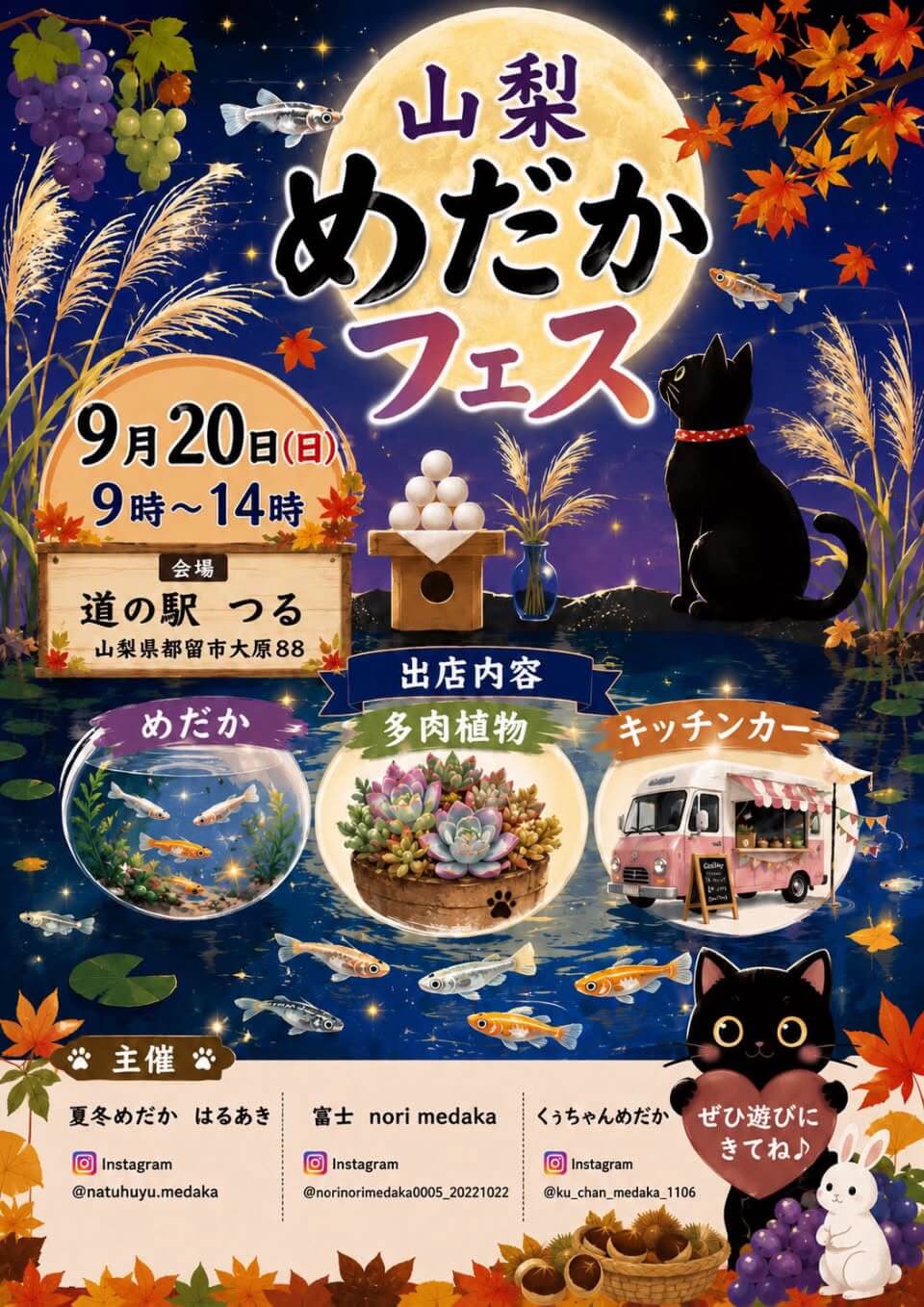 山梨県:山梨めだかフェス(2026年9月開催)