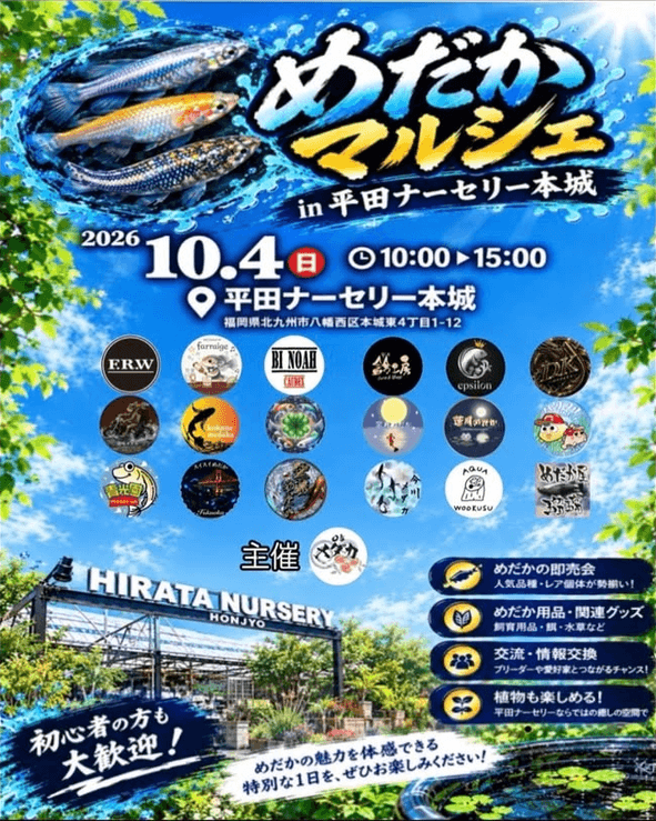 福岡県:めだかマルシェin平田ナーセリー本城店(2026年10月開催)
