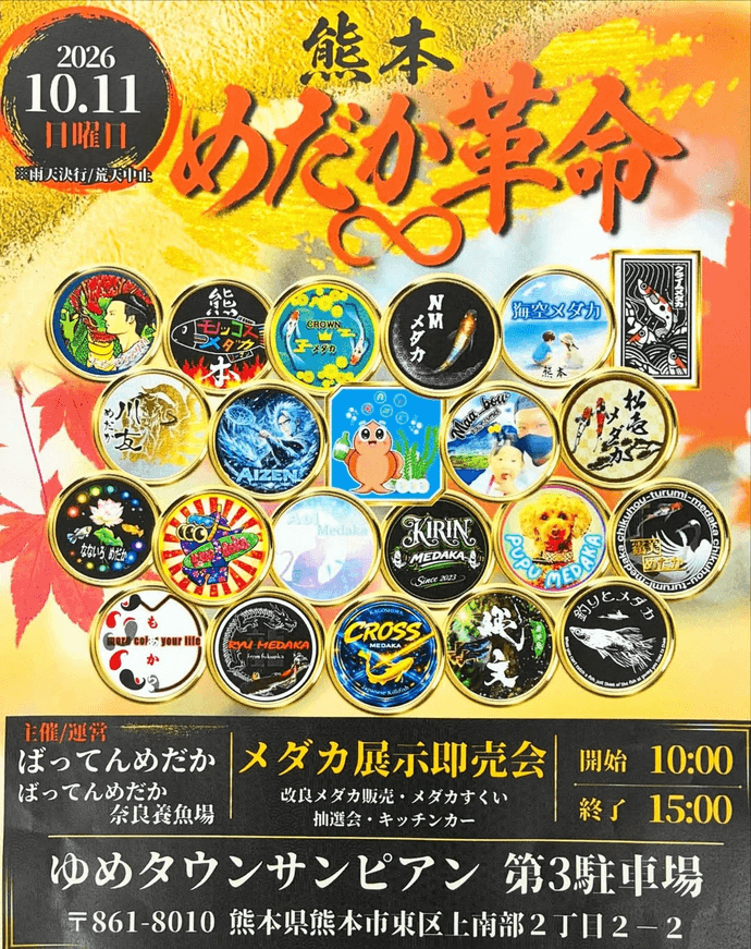 熊本県:熊本めだか革命のフライヤー広告(2026年10月開催)