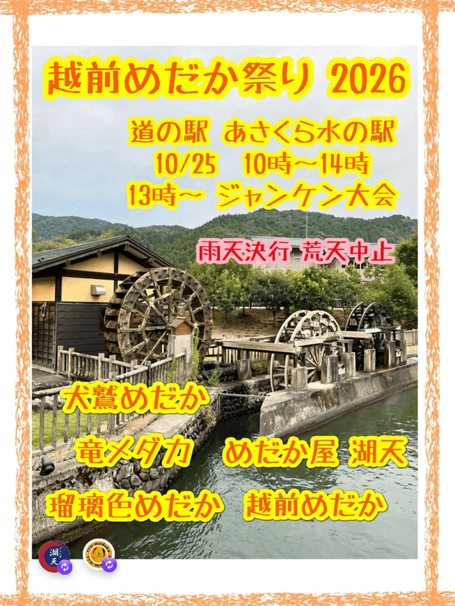 福井県:越前めだか祭り 2026(2026年10月開催)