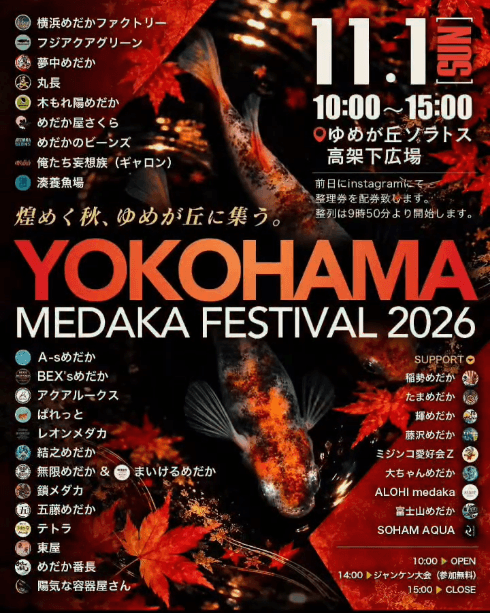 神奈川県:YOKOHAMA MEDAKA FESTIVAL 2026のフライヤー広告