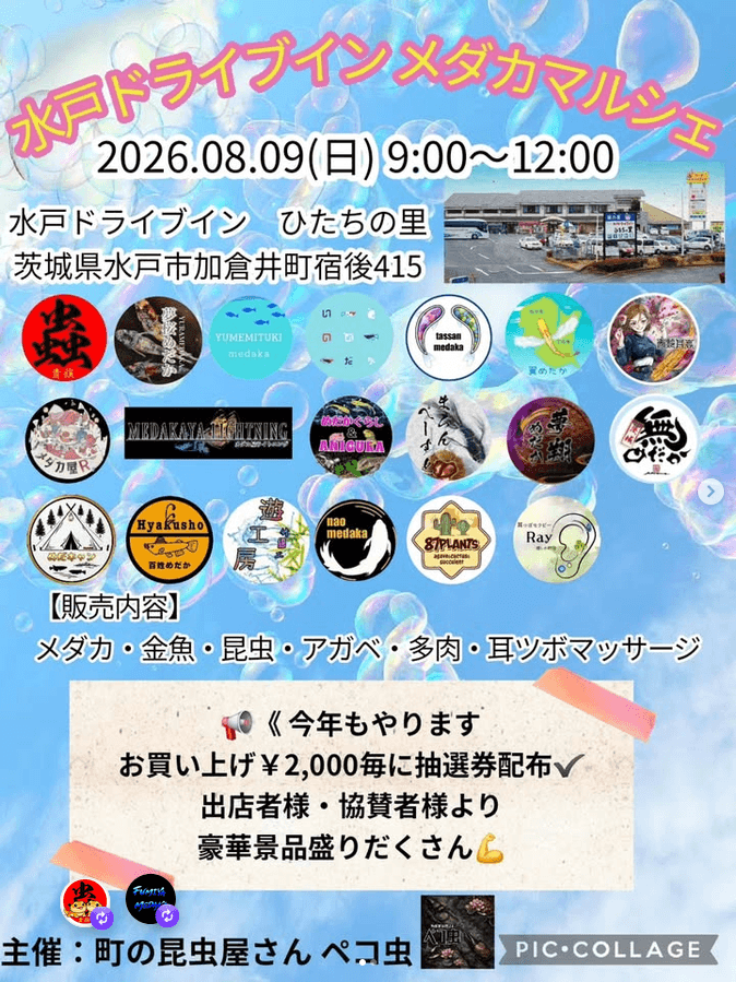 水戸ドライブイン メダカマルシェのフライヤー広告