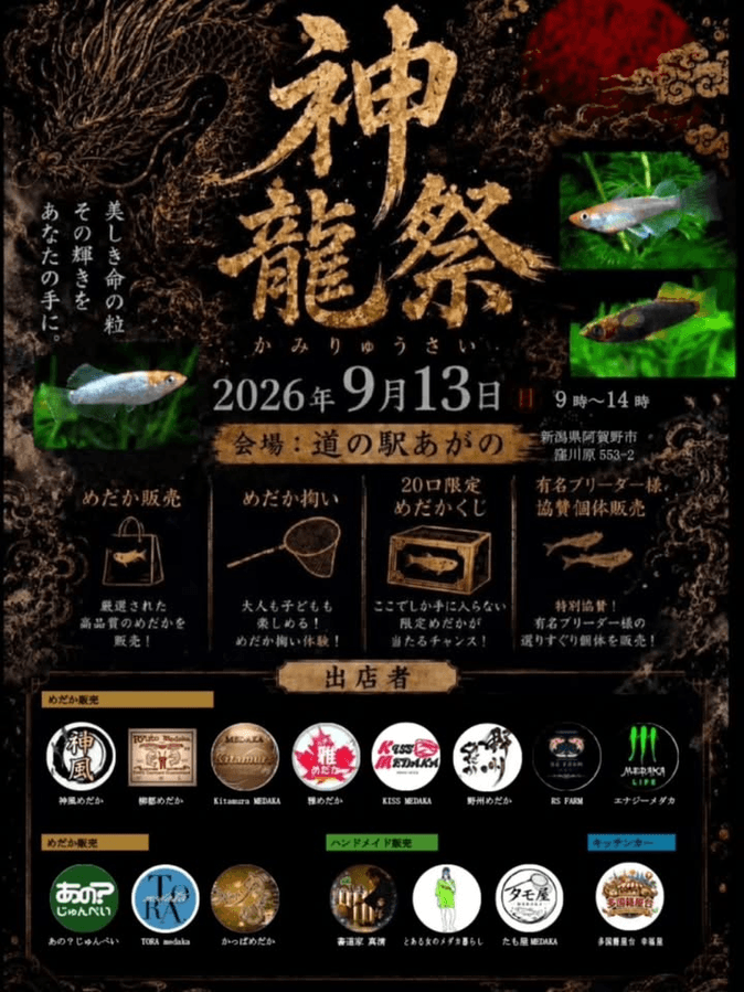 神龍祭のフライヤー広告