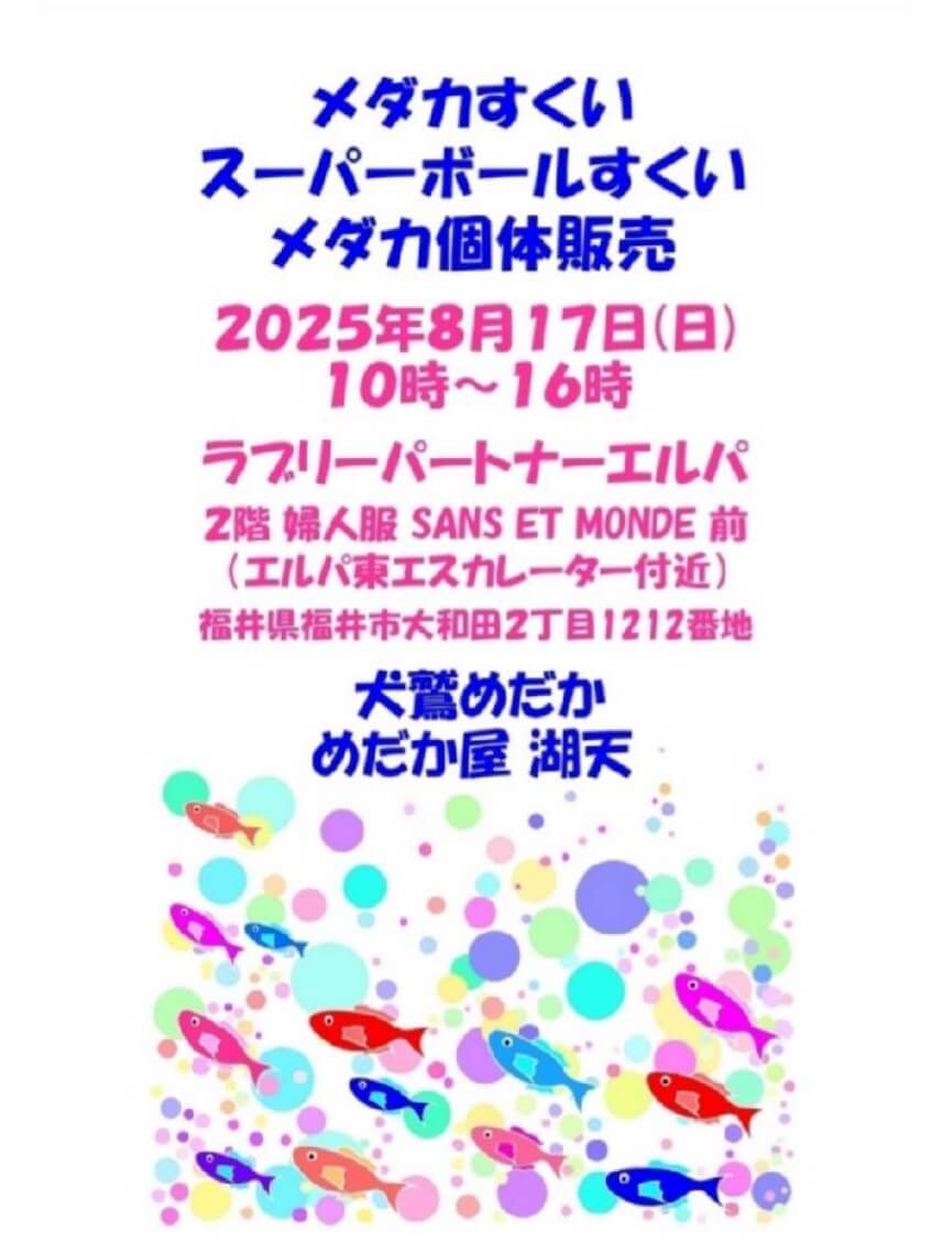 メダカ販売イベントのフライヤー広告(2025年8月開催)