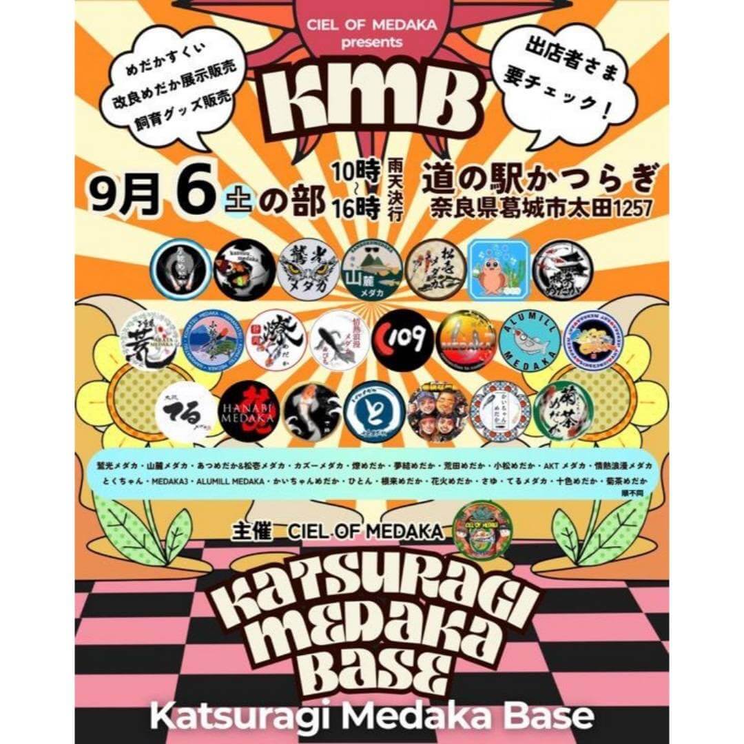 メダカ販売イベントのフライヤー広告(2025年9月開催)