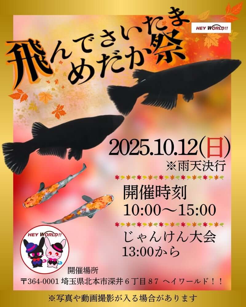 メダカ販売イベントのフライヤー広告(2025年10月開催)