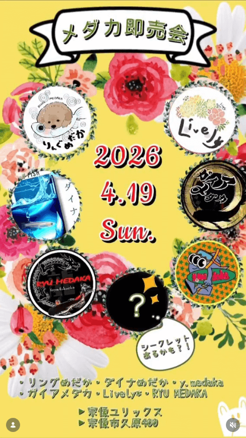 メダカ販売イベントのフライヤー広告(2026年4月