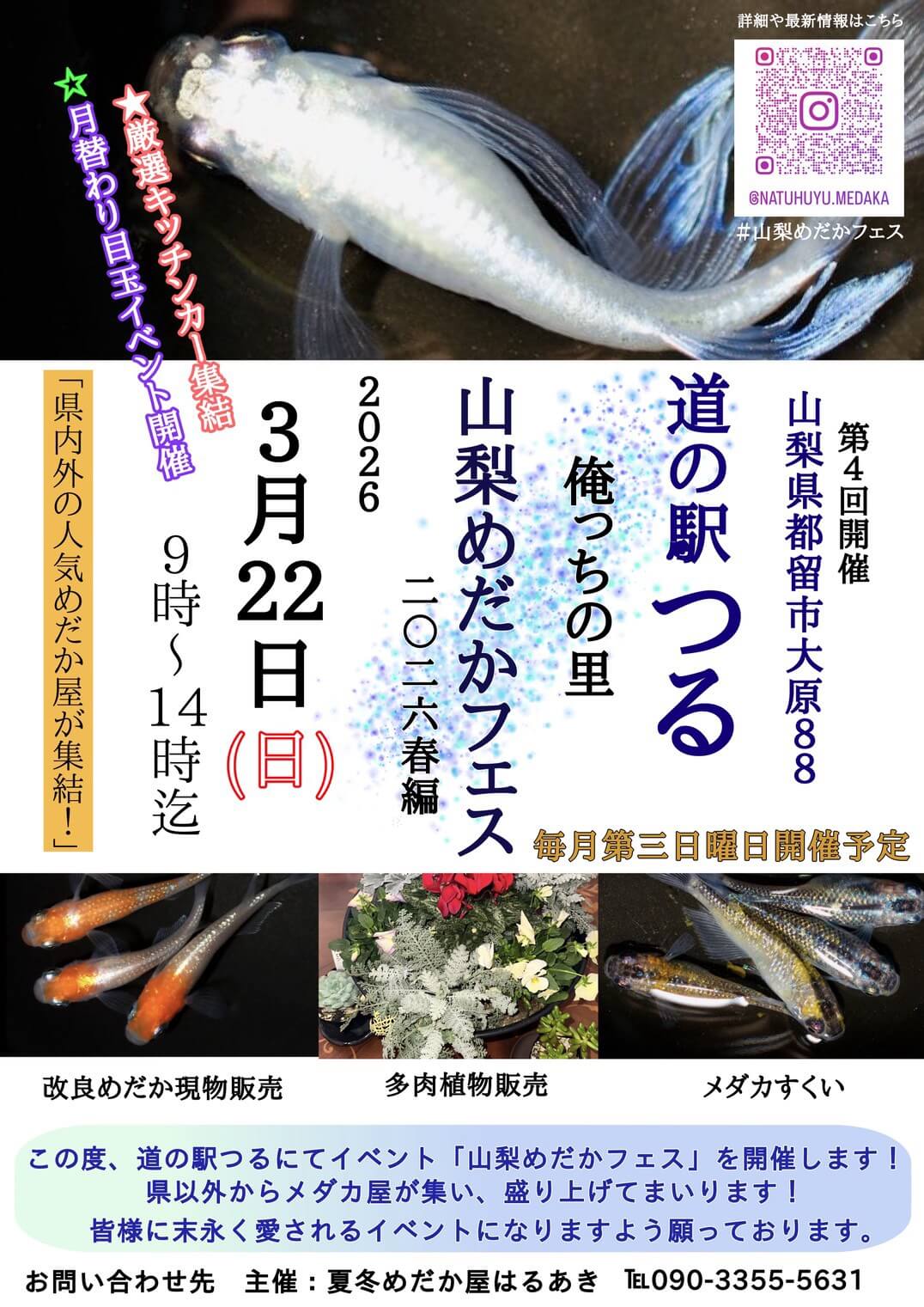 メダカ販売イベントのフライヤー広告(2026年3月)