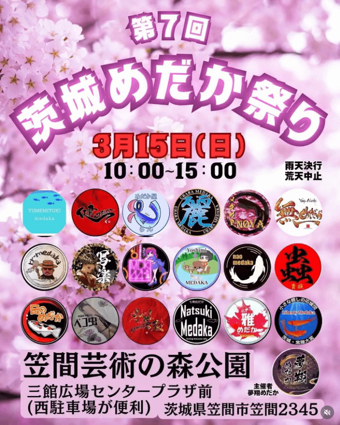 メダカ販売イベントのフライヤー広告(2026年3月)