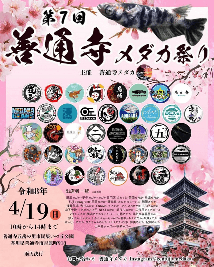 メダカ販売イベントのフライヤー広告(2026年4月