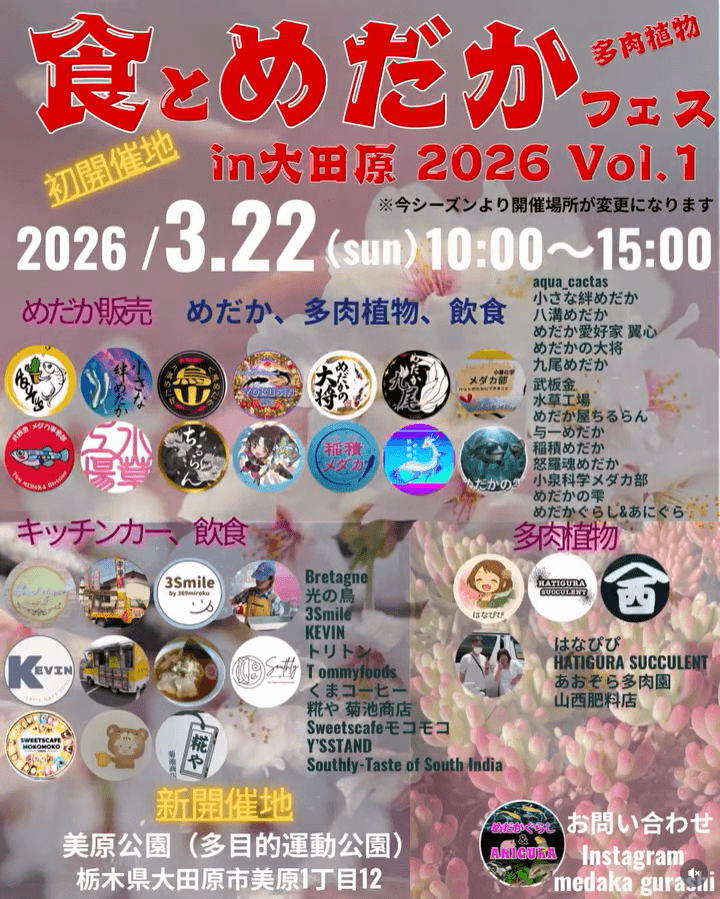 メダカ販売イベントのフライヤー広告(2026年3月