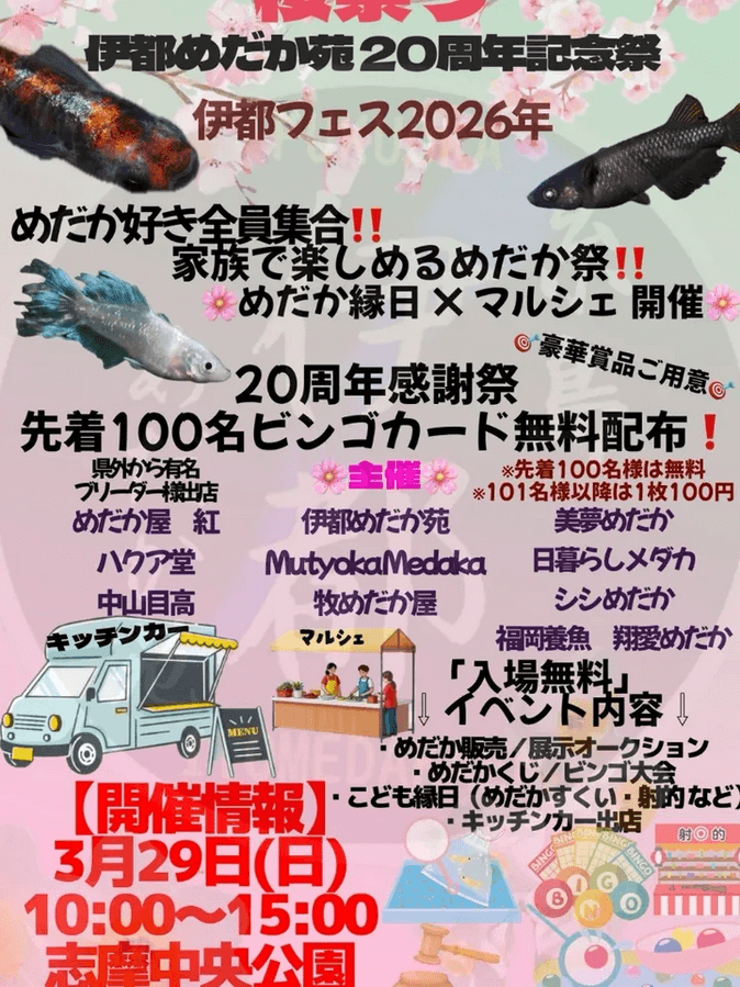 メダカ販売イベントのフライヤー広告(2026年3月