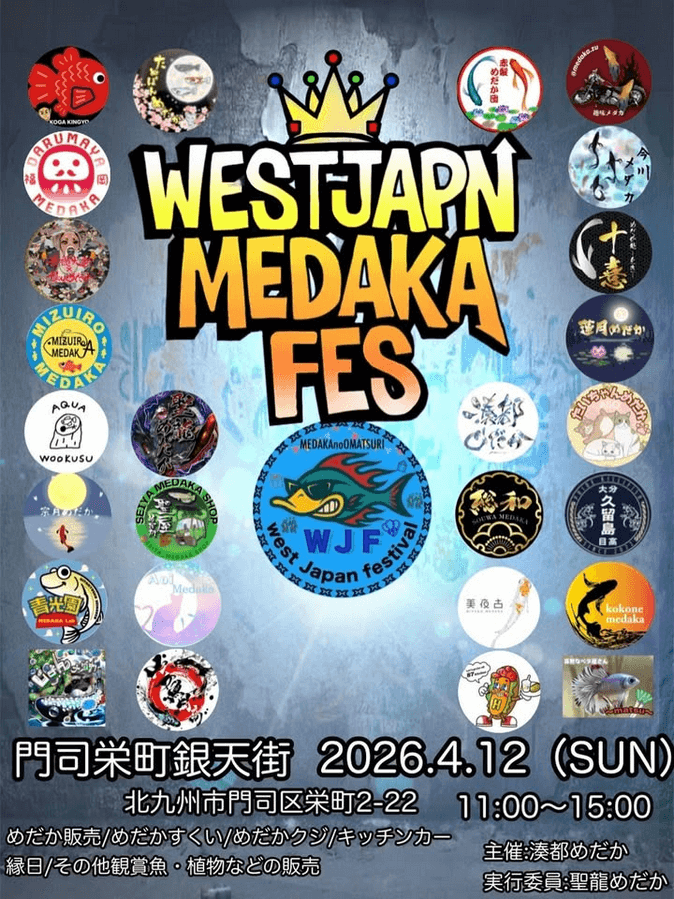 メダカ販売イベントのフライヤー広告(2026年4月