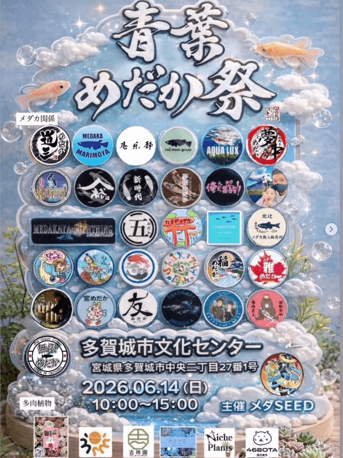 メダカ販売イベントのフライヤー広告(2026年6月