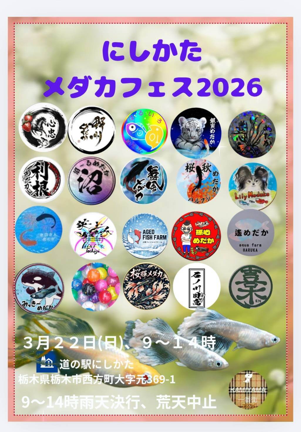 メダカ販売イベントのフライヤー広告(2026年3月