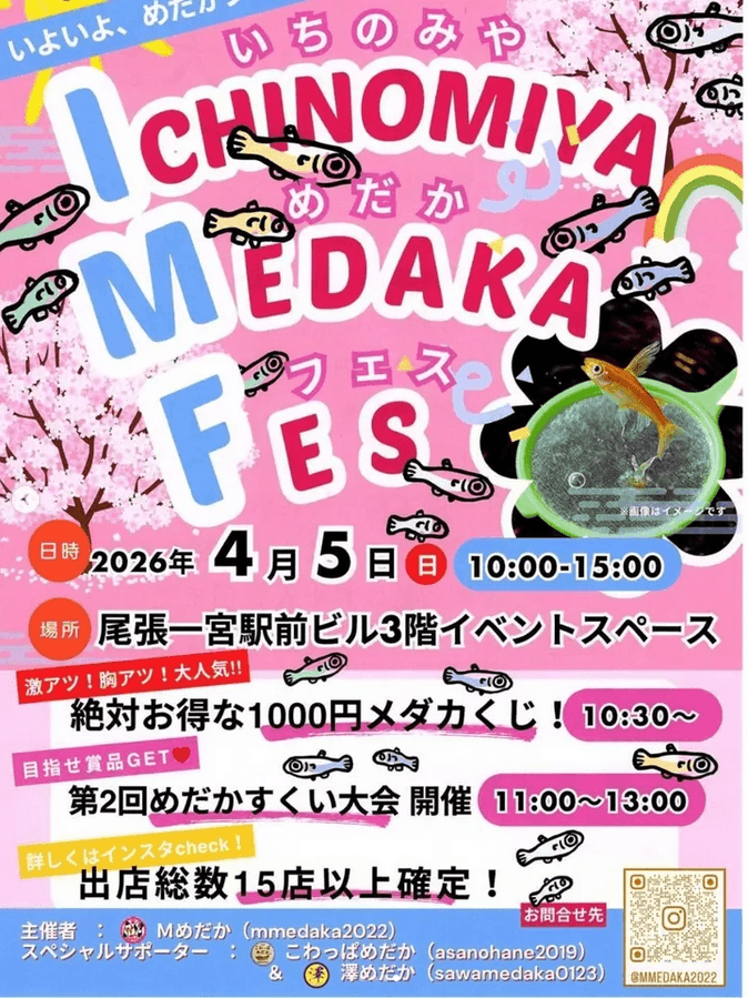 メダカ販売イベントのフライヤー広告(2026年4月