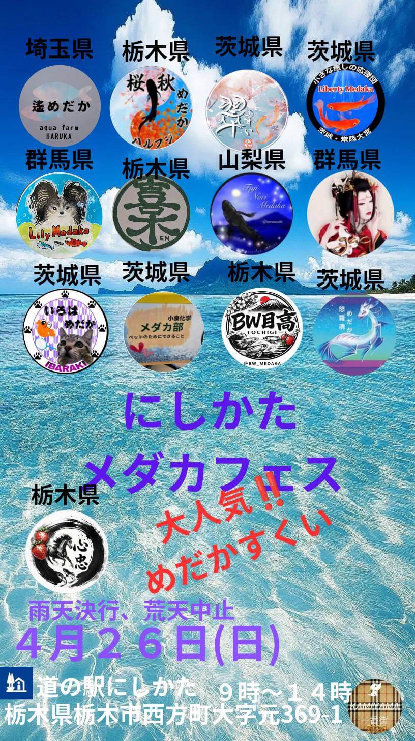 メダカ販売イベントのフライヤー広告(2026年4月