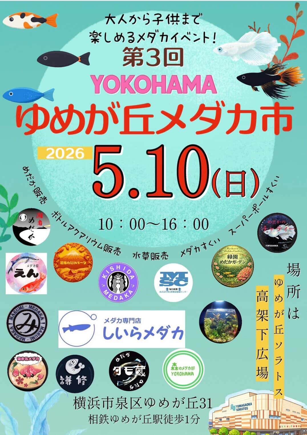 メダカ販売イベントのフライヤー広告(2026年5月