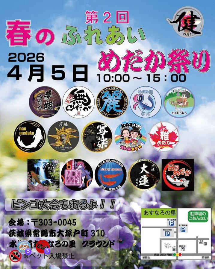 メダカ販売イベントのフライヤー広告(2026年4月